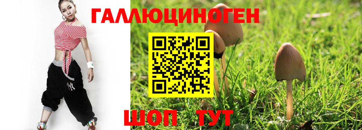 Саранск  Галлюциногенные грибы мицелий  купить  цена  Вход с VPN 