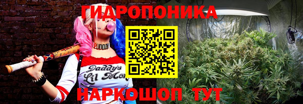 Бошки марихуана THC 21%  Бошки марихуана Ganja  Саранск  МАРИХУАНА Ganja  Канабис Bruce Banner  Вход с VPN 